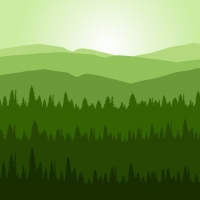Nationaler Waldgipfel 2021